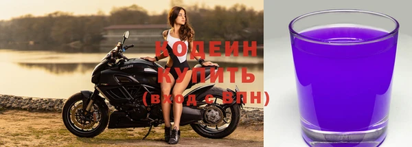 спиды Алзамай