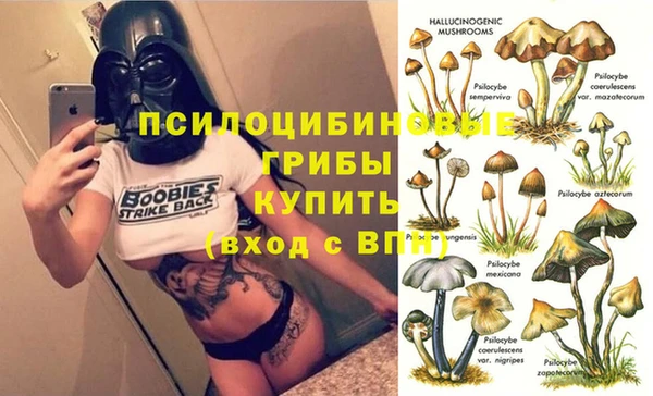 прущая мука Абаза